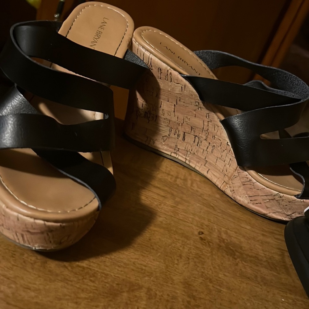 Heels only worn a few times , they are Lane Bryant brand .